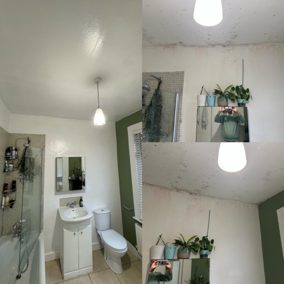 Painter and Decorator: Image 2